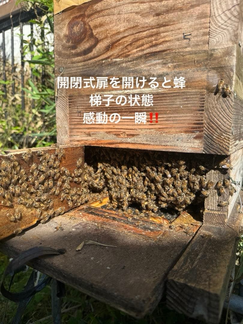 ニホンミツバチ重箱式巣箱4段 スライド底板 付巣門台座 スノコ付き