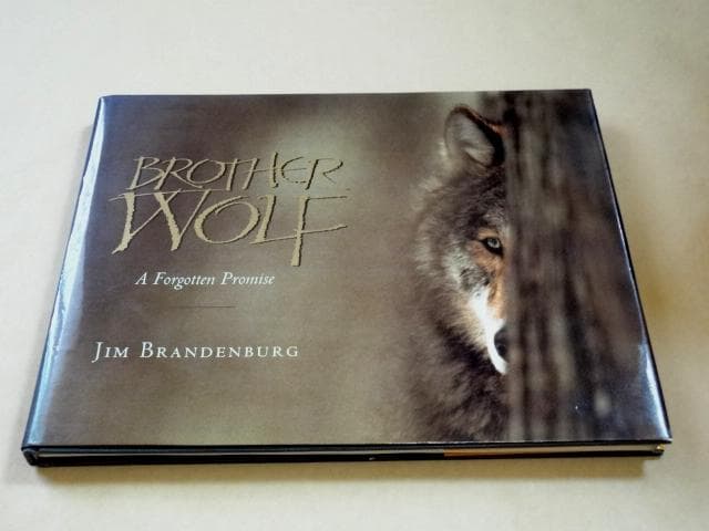 ☆ ジム・ブランデンバーグ 写真集 Brother Wolf ブラザー・ウルフ