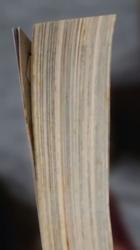 プレミア本 ヘルシング外伝 ヤングキングアワーズ2012年2月号 - メルカリ