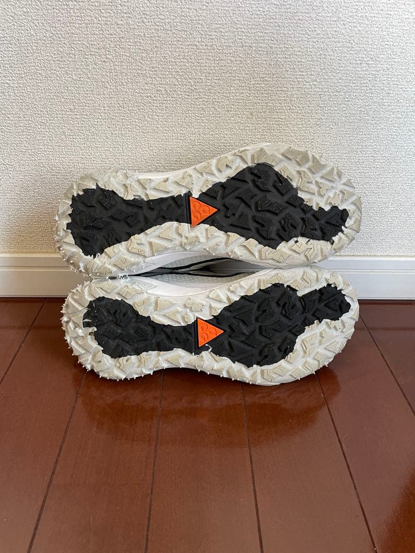 靴 NIKE ACG MOUNTAIN FLY 2 LOW 25.5cm