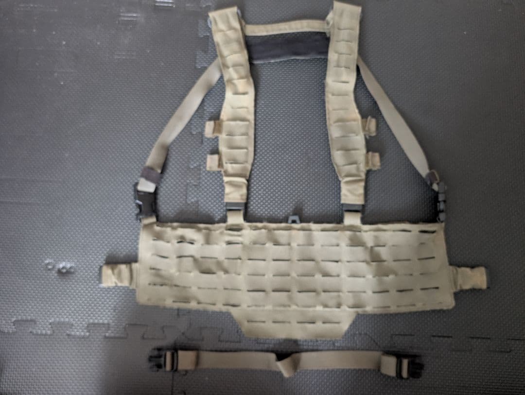 DirectAction　チェストリグ Amazon | Direct Action チェストリグ WARWICK SLICK 薄型・軽量 MOLLE