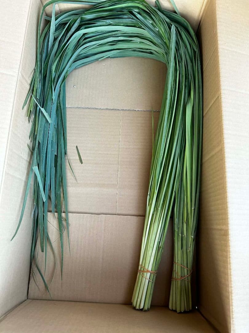 完全無農薬レモングラスの葉 10キログラムです。の通販｜www.k4fashion.com