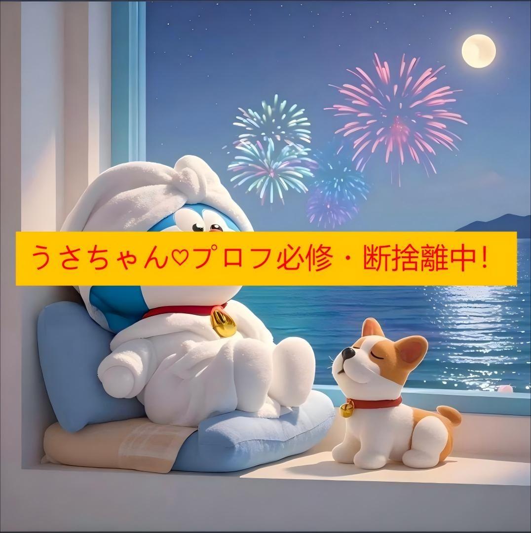 うさちゃん♡プロフ必修・断捨離中！（S*M)2着で