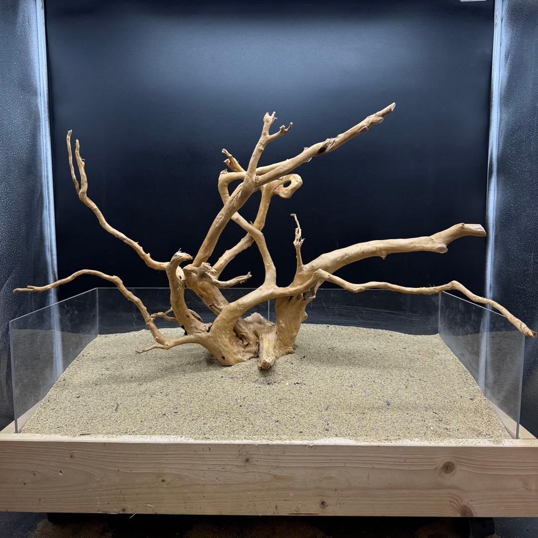 MDW-6991 特大ブランチウッド　流木　枝流木　アクアリウム MDW-7119ブランチウッド 流木 枝流木 アクアリウム｜Yahoo!フリマ（旧