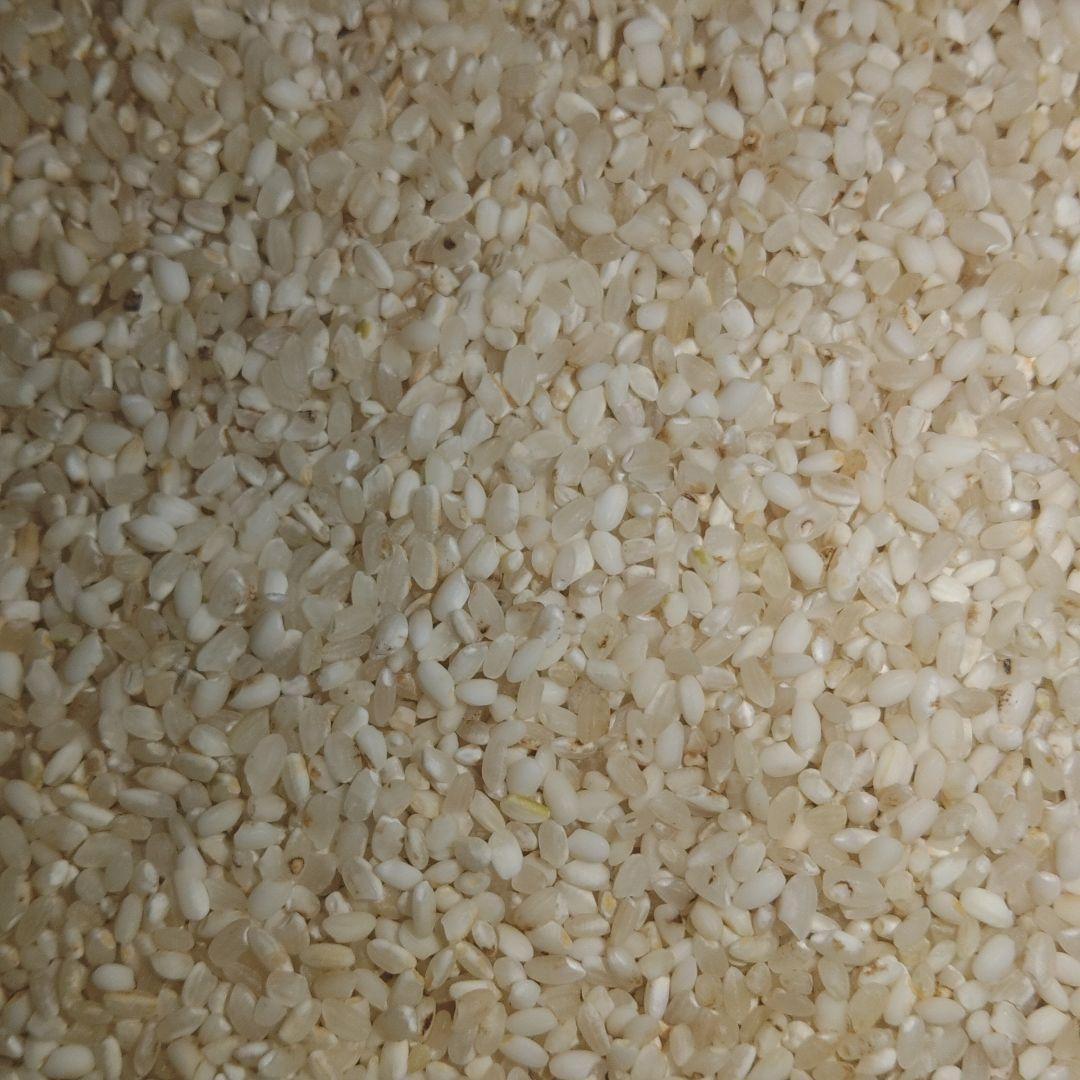 くず米 24kg 【飼料用】 ※説明欄必読砕米 24kg 【飼料用】※説明欄必読