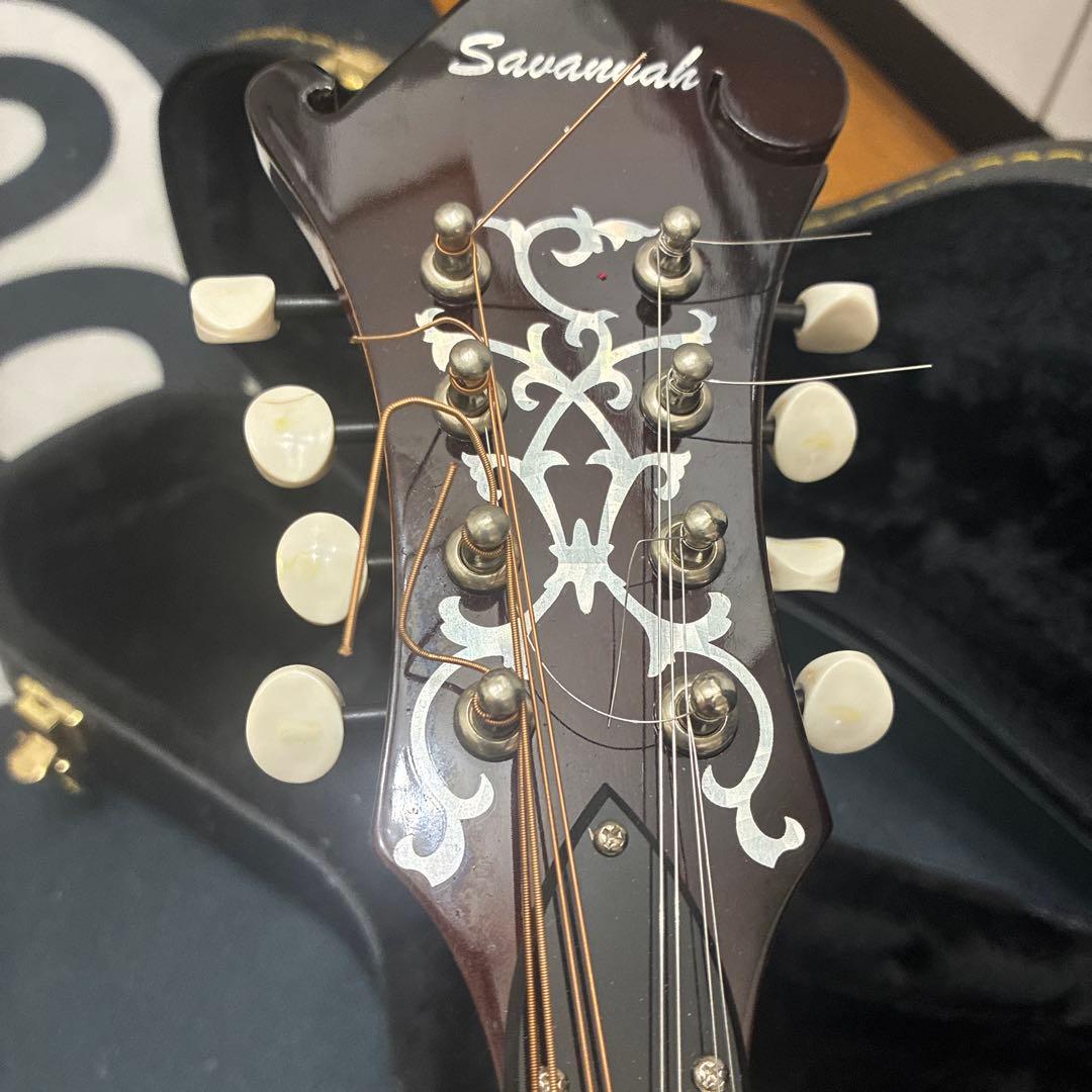 Savannah フラットマンドリン ハードケース付き