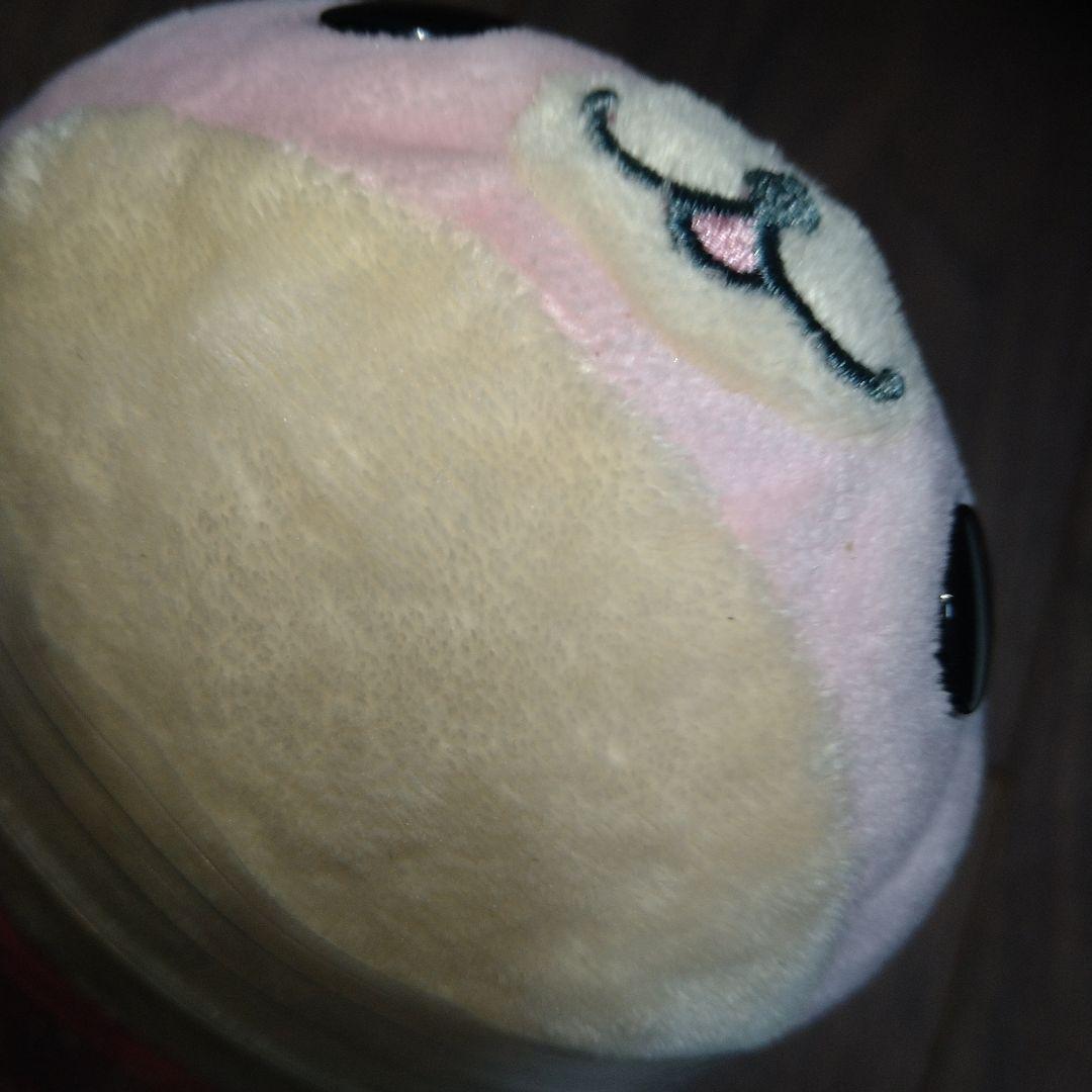 激レア　希少　まめゴマ　さくらゴマ　ドレス