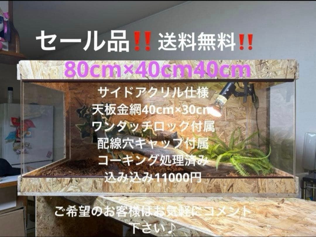 爬虫類ケージ 80×40×40 サイドアクリル　飼育ケージ ケージ 爬虫類 爬虫類ケージ 80×40×40 サイドアクリル 飼育ケージ ケージ 爬虫類 www