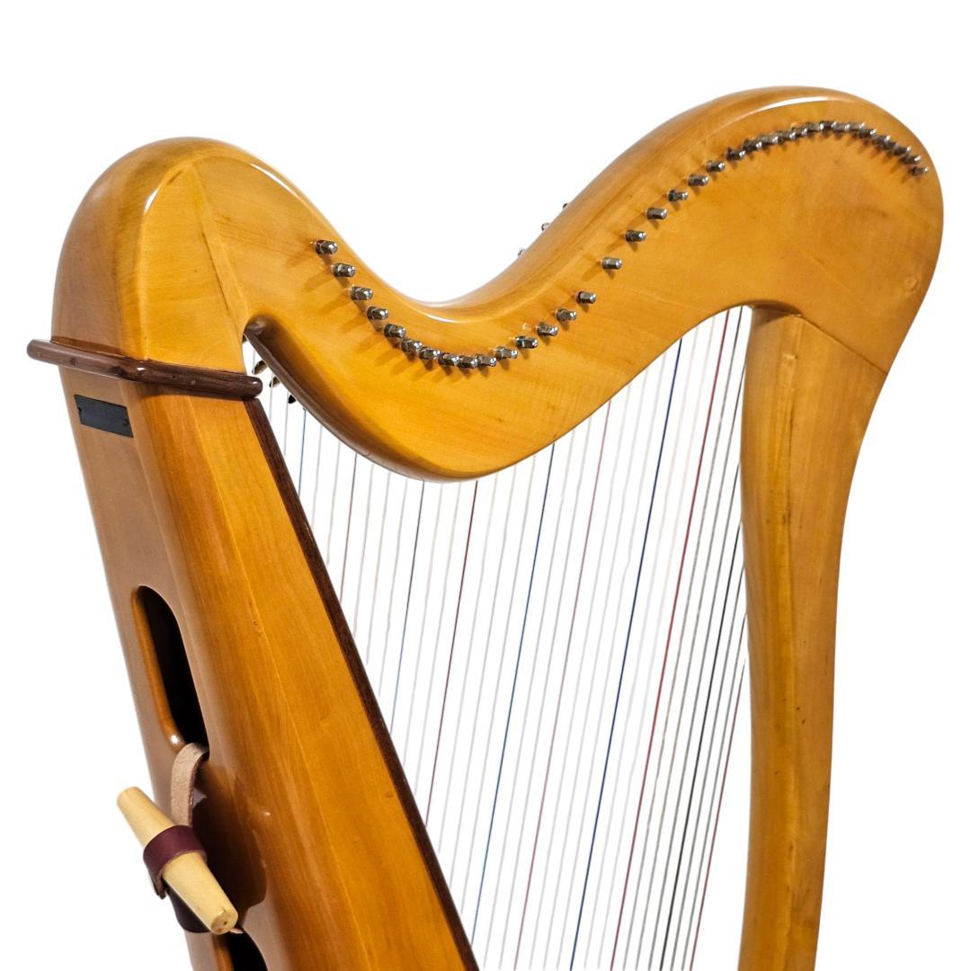 AOYAMA 青山ハープ 140D 36弦 レバーハープ 調弦キー付 日本製 - メルカリ