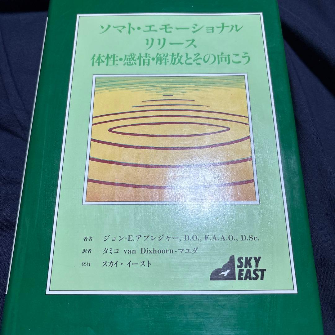 ソマトエモーショナルリリース　体制感情解放とその向こう