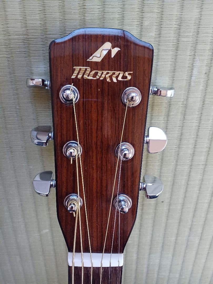 送料込 モ リス MW650P トップ単板 生ギタ 整備済新品弦 リペア品