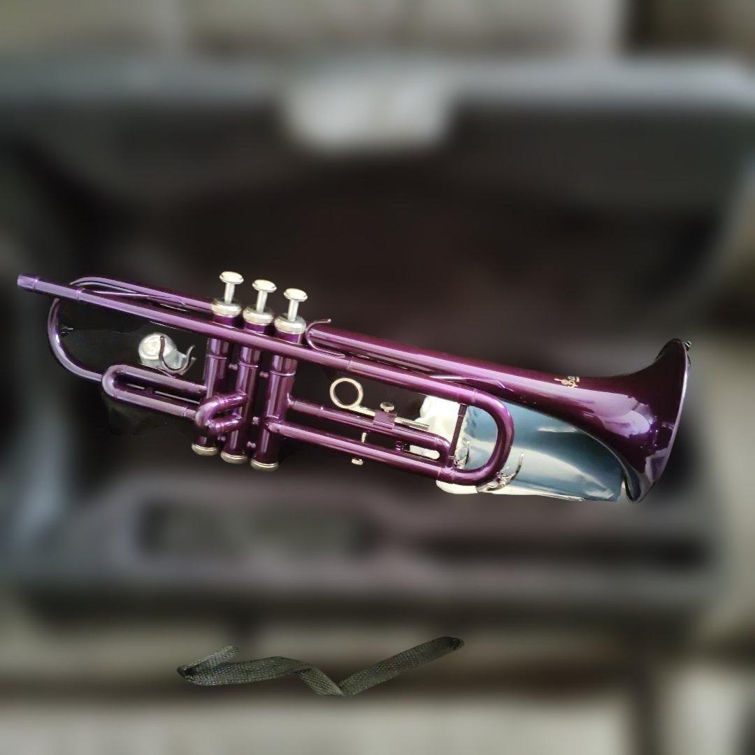 トランペット パープル SLADE 未使用品 - メルカリ