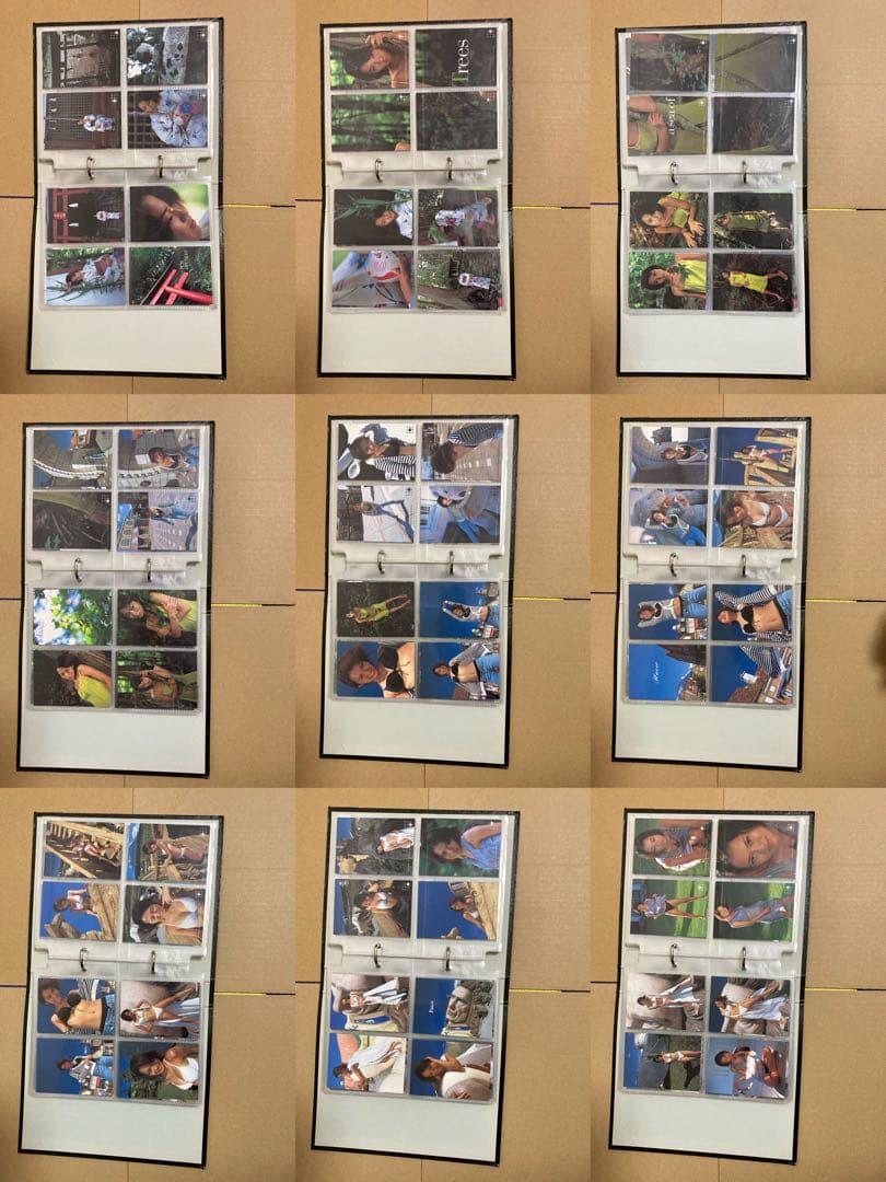 【タマちゃんさん専用】市川由衣　トレカ　DVD等