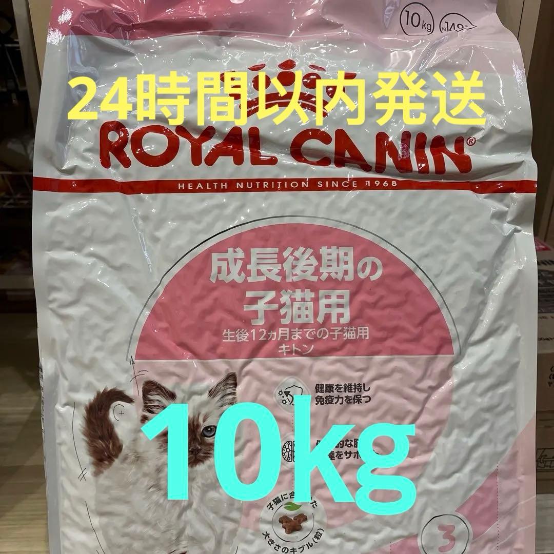 ROYAL CANIN 子猫用ドライフード 10kg - メルカリ