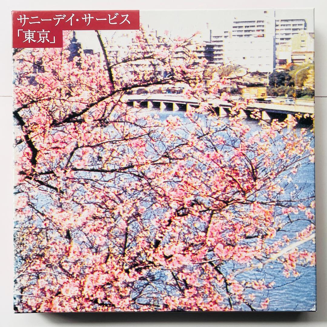 稀少 限定ボックス レコード サニーデイ・サービス - 東京 曽我部恵一