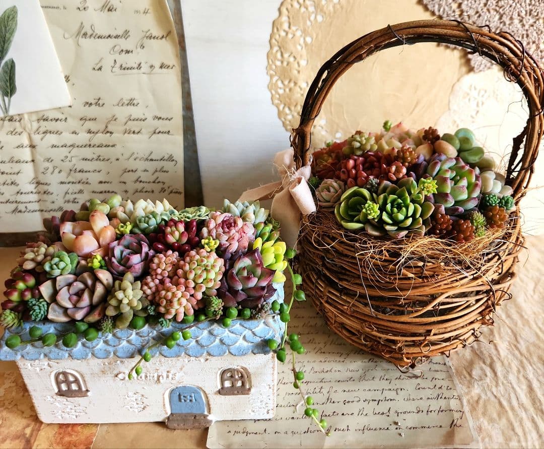 多肉植物寄せ植え そのまま飾れる 2つセット♡ - メルカリ