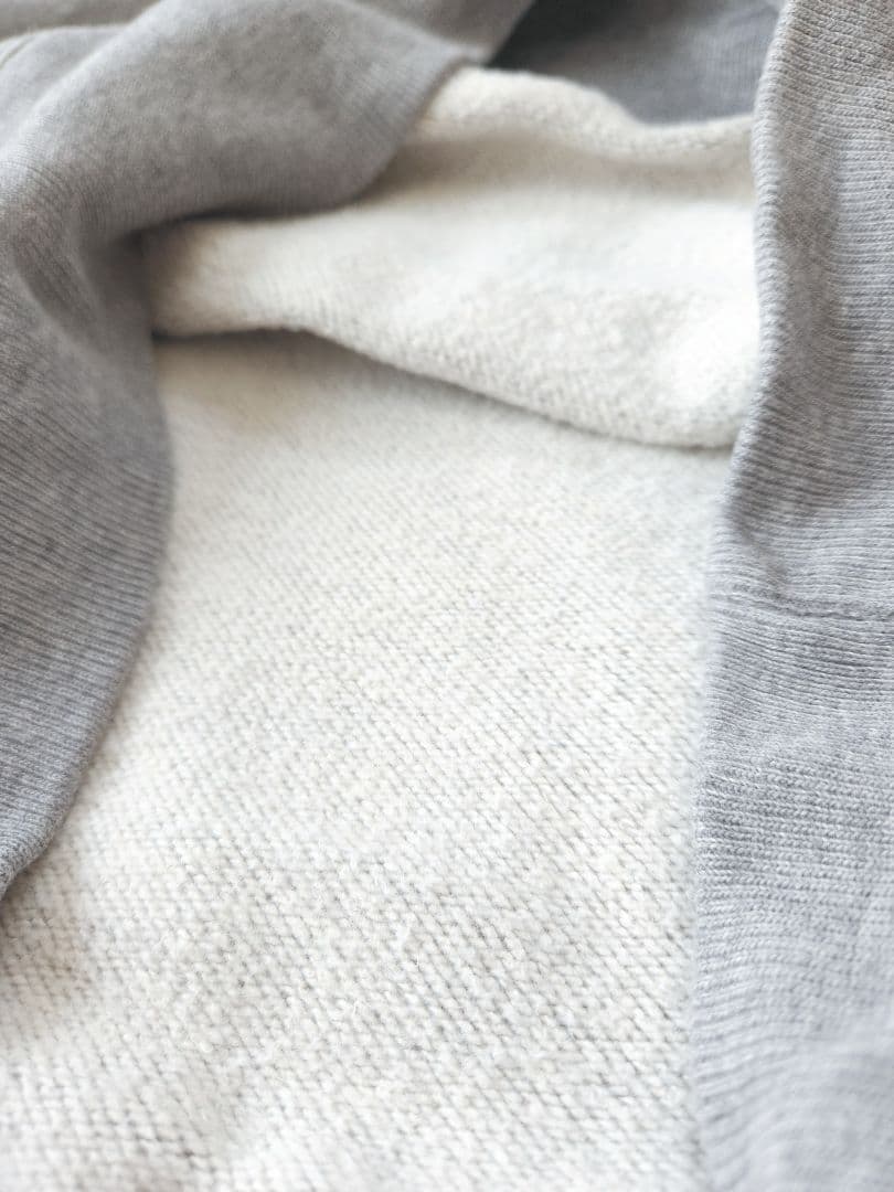 ◇とらB様◇Champion チャンピオン ガゼット スウェット ランタグ 復刻