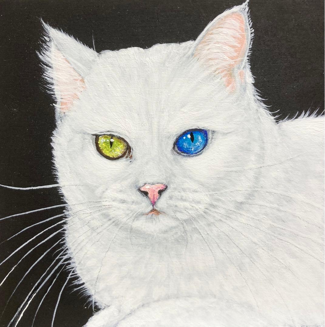 猫の絵 アクリル画no.52 白猫 幸せを呼ぶオッドアイ - メルカリ