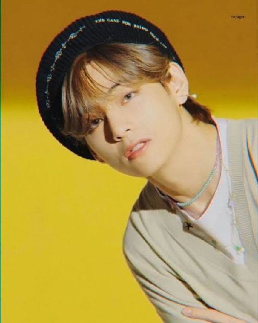 BTS Dynamite MV テテ着用 The H.W.Dog ニットキャップ - メルカリ