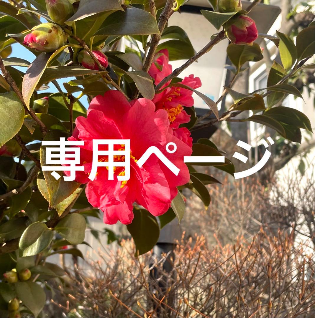 ステンドグラスパネル【薔薇の花束】 - メルカリ