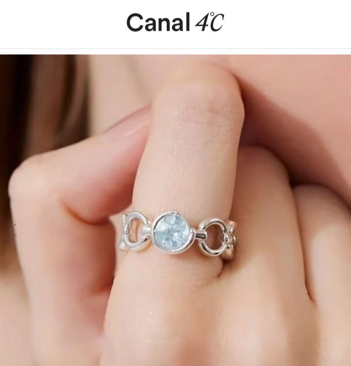 SV リング アーカー 4℃ VA アガット エテ ノジェス ジュエッテ好も