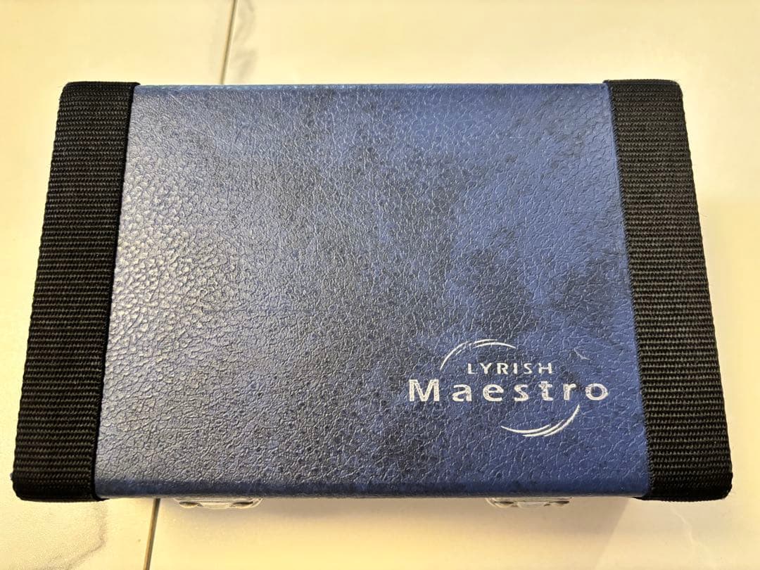 ライリッシュ マエストロ オカリナ AC クリーニング済 - メルカリ