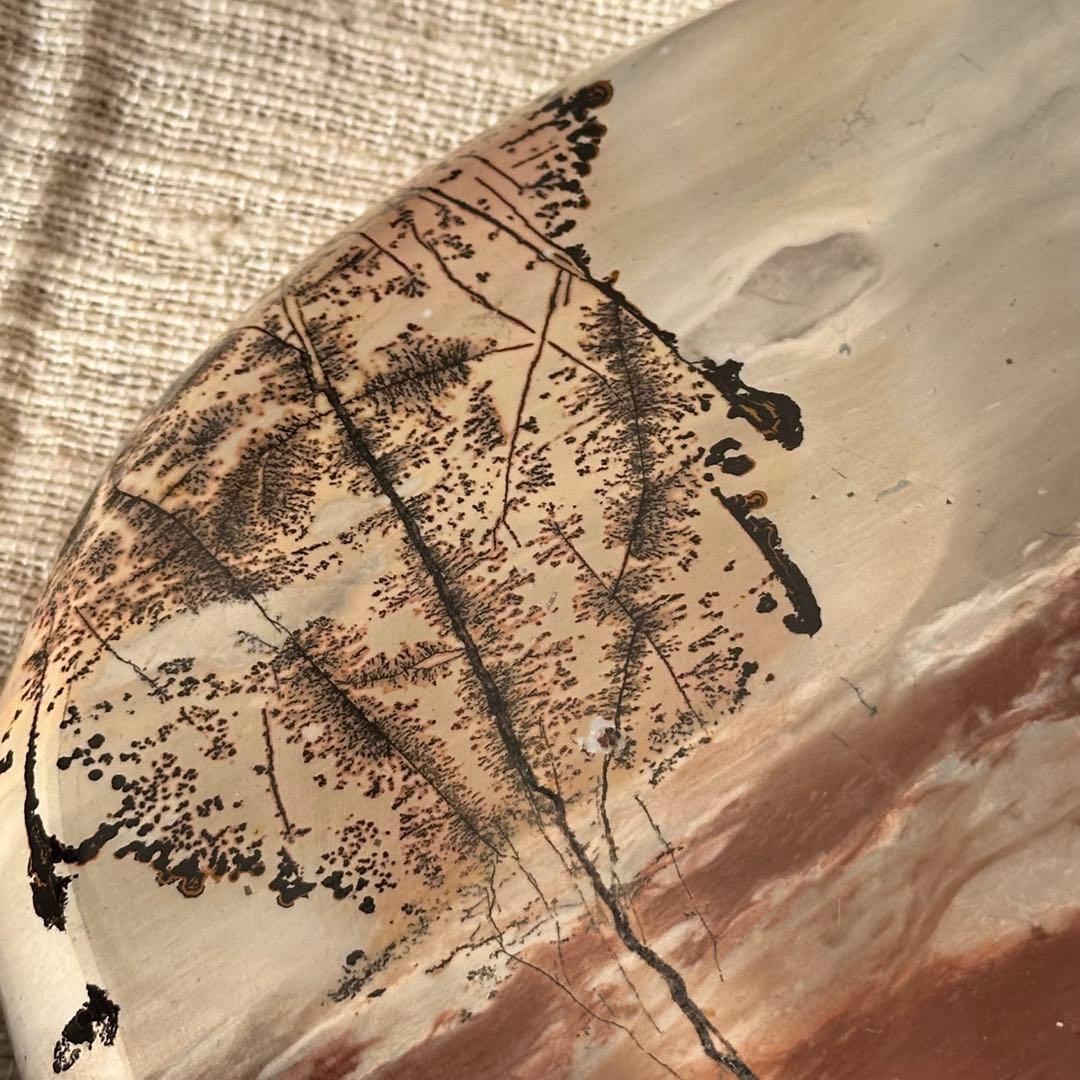 【ピクチャー ジャスパー】デンドリティック トレイ/ -One Tree-