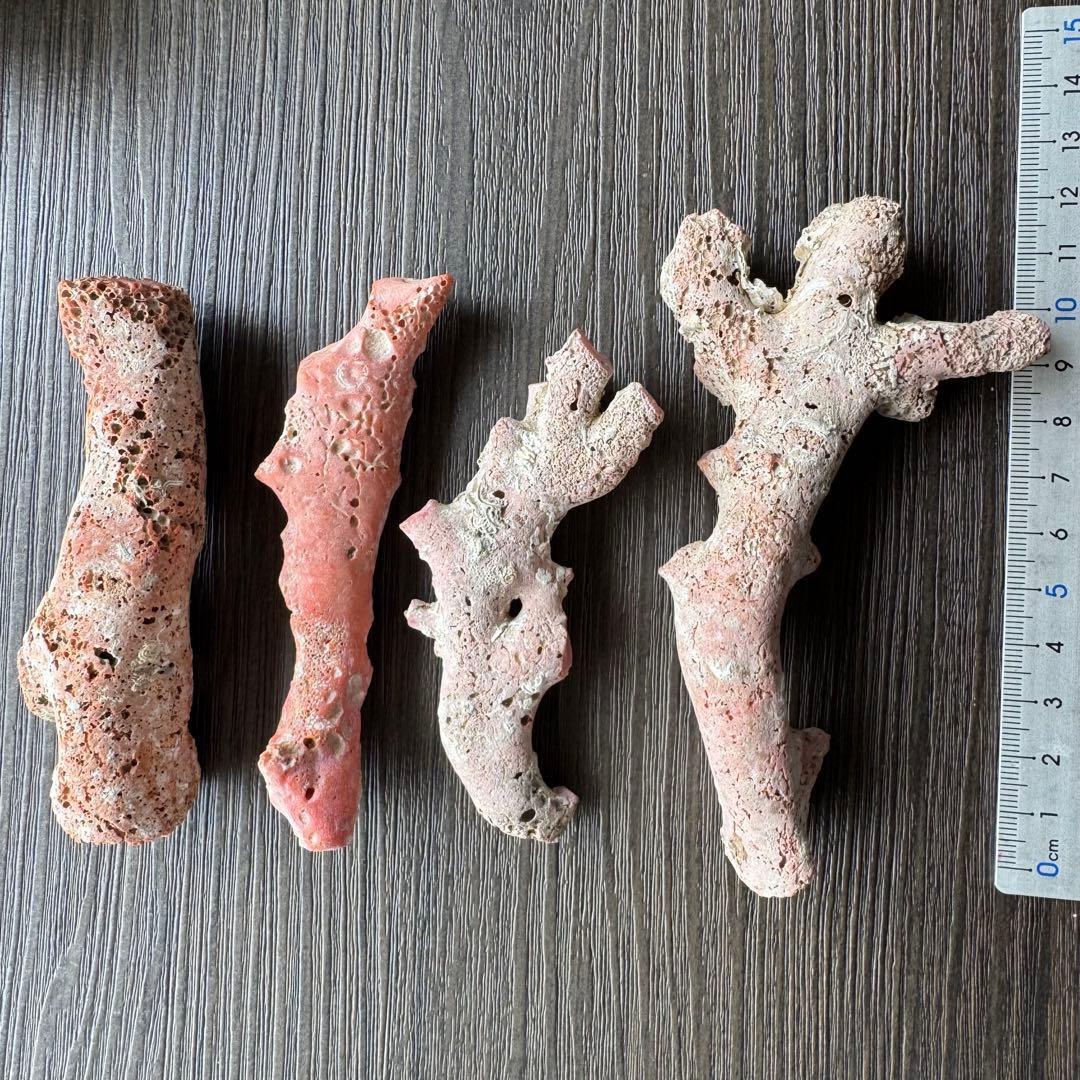 珊瑚 原木 桃色 コーラルピンク系 総量235.5g