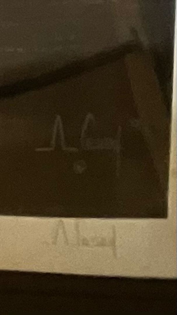 保証書付]アンソニー・キャセイ ハワイアンシルエット PP 10/10 - メルカリ