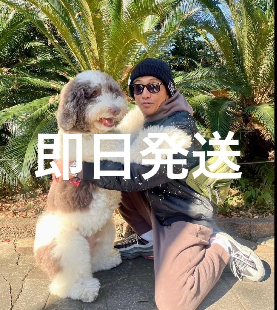 キムタク 私物 US アス M-65 ミリタリー ライナー ボディバッグ - メルカリ