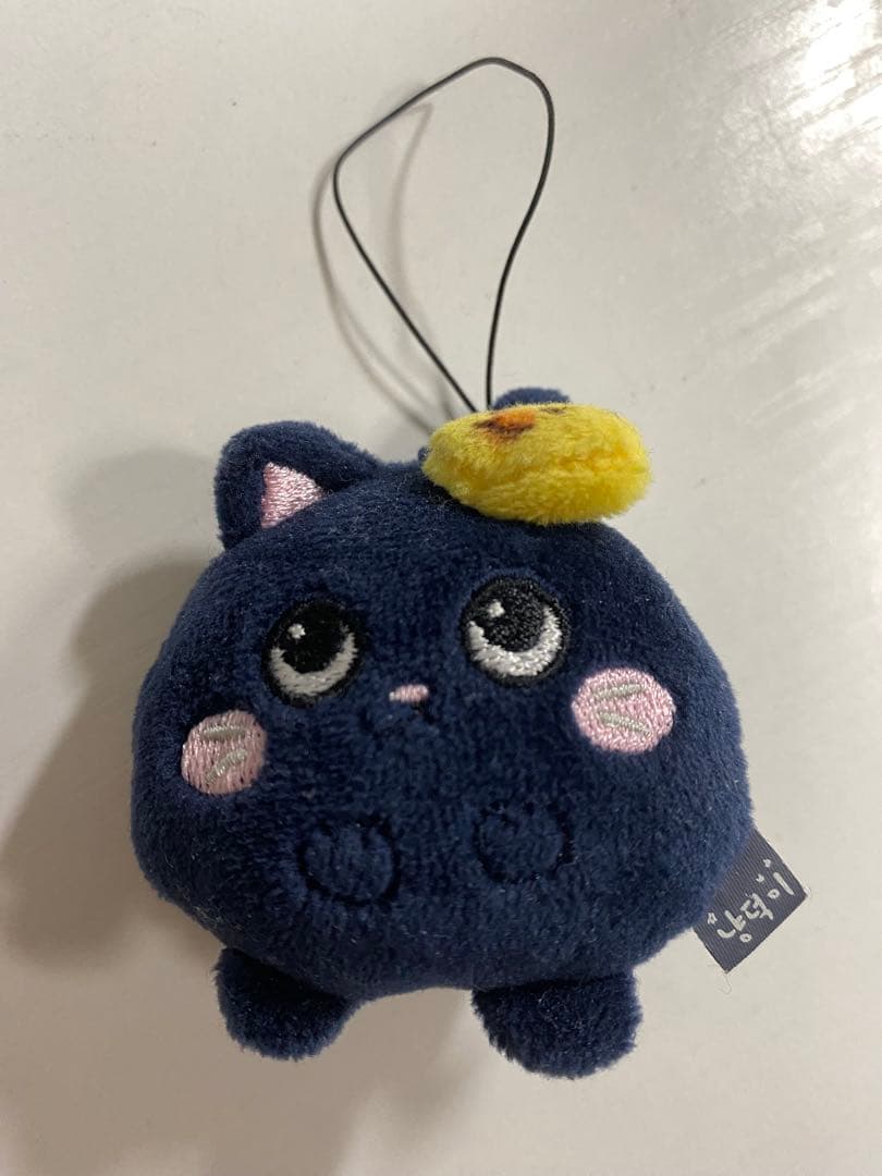 センイルお値下げ】 RIIZE ウォンビン トニャンドク - メルカリ