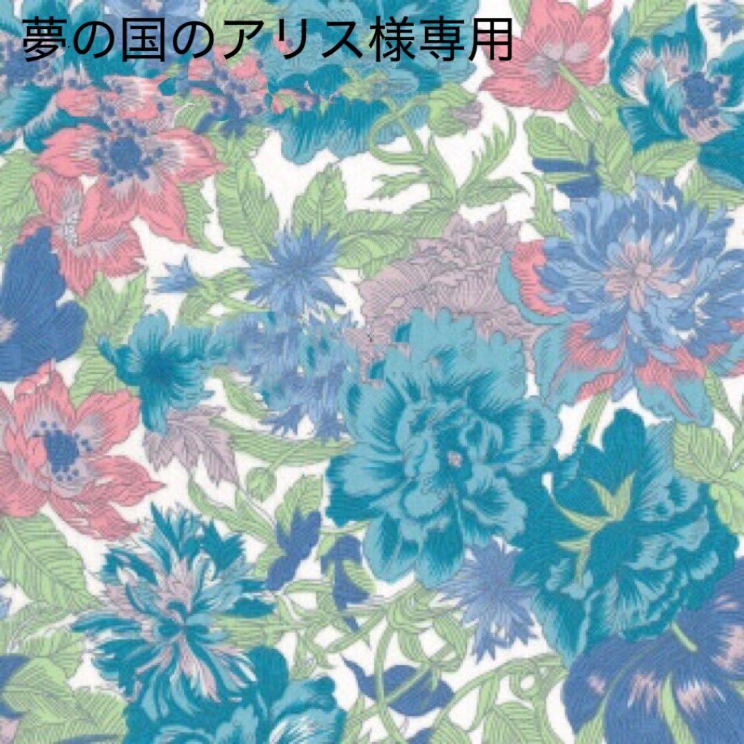 夢の国のアリス Idol of the Wonderland, Alice | Z/X -Zillions of enemy X- Wiki