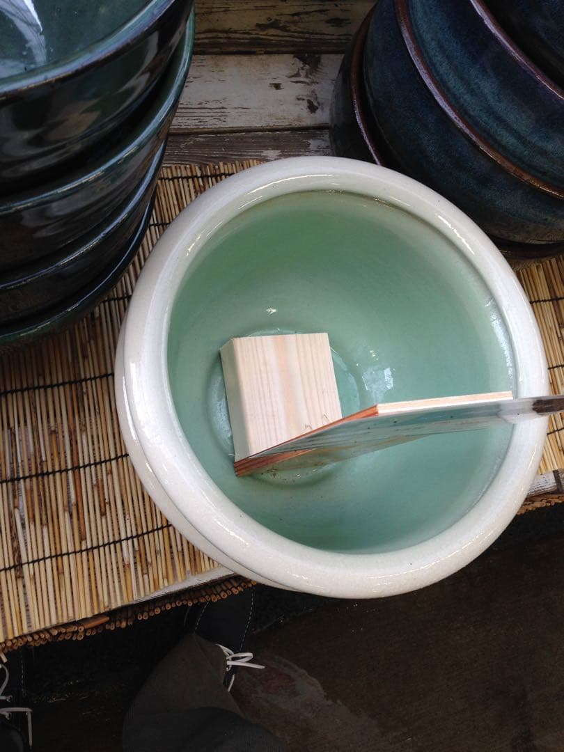 齋藤 3000メートル障害・斎藤みう 予選敗退も日本新！17年ぶり9秒