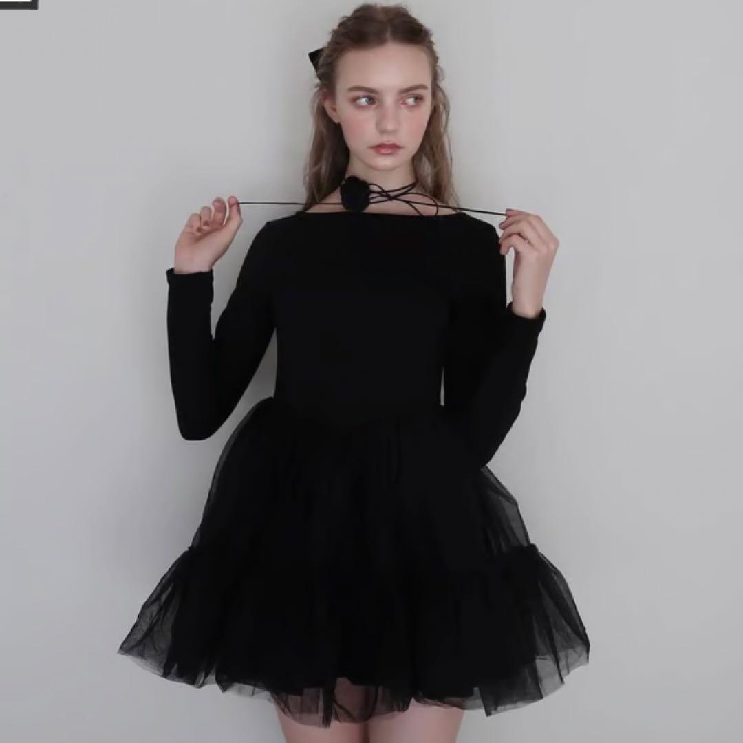 Ballet docking tulle mini dress - メルカリ