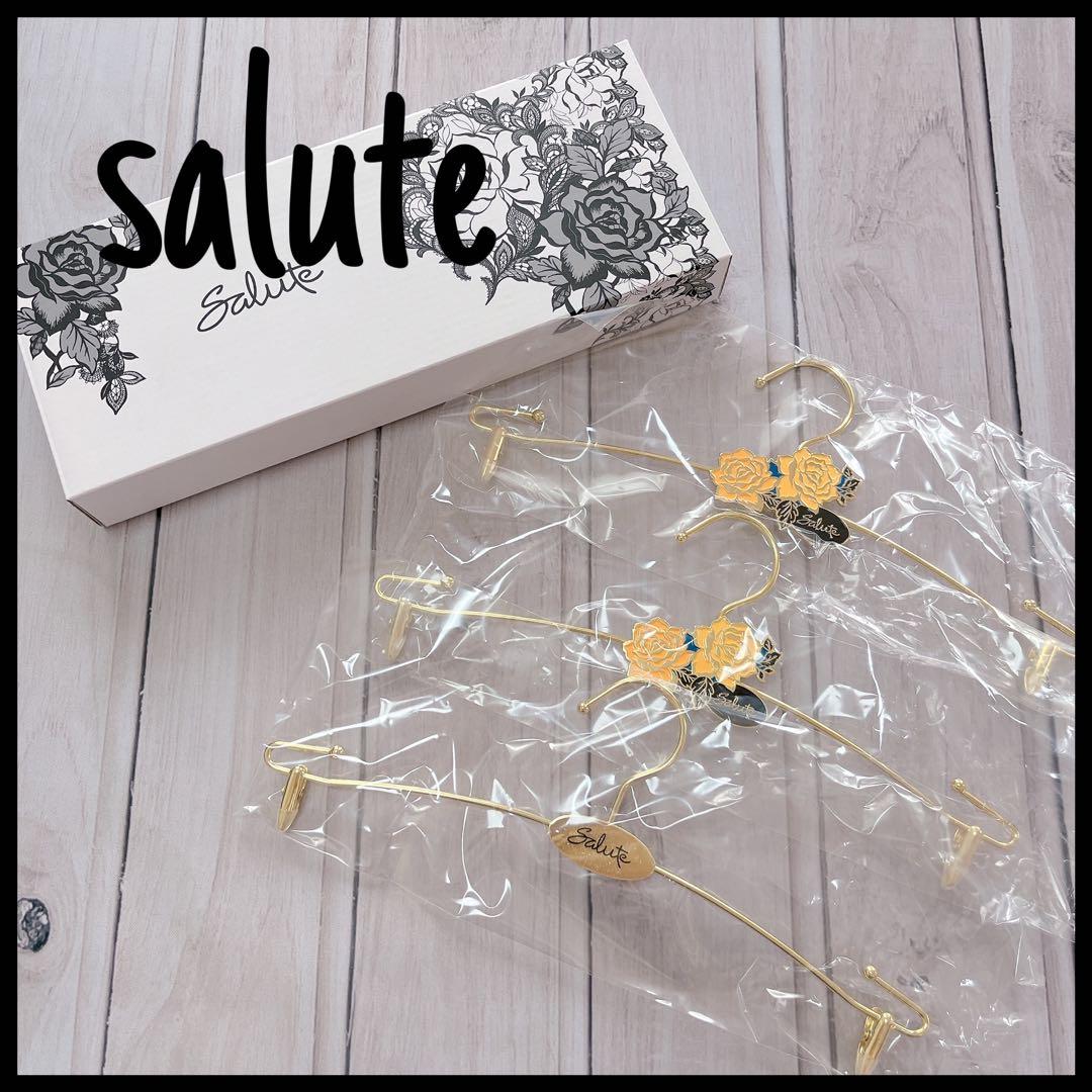 新品✨ salute サルート ランジェリーハンガー 非売品 ノベルティ