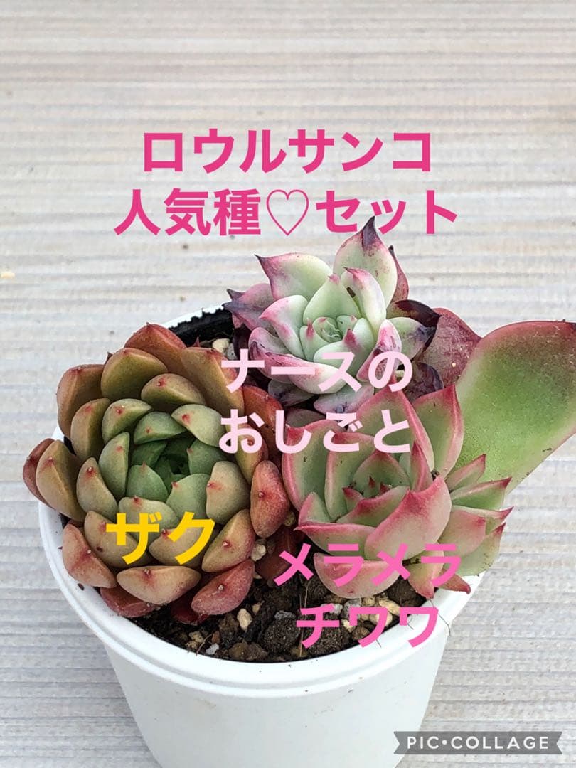 Mー⚠️プロフの確認お願いします様 リクエスト 2点 まとめ商品 - メルカリ