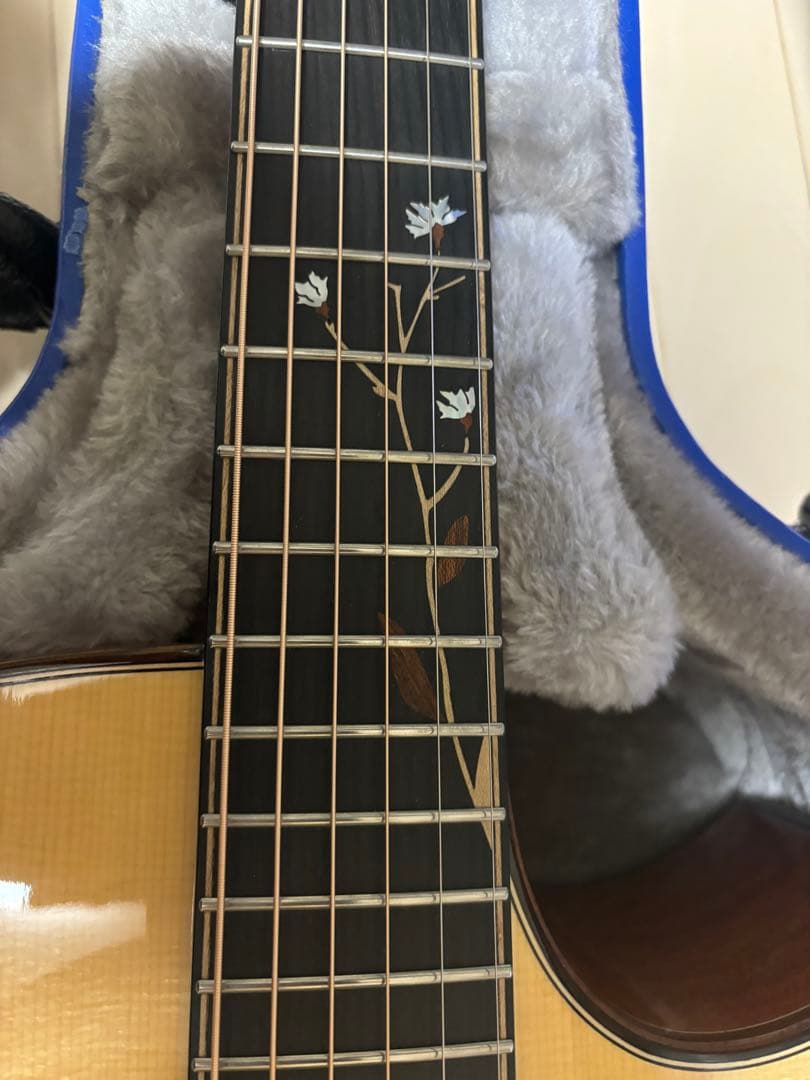 naga guitars s-gac60