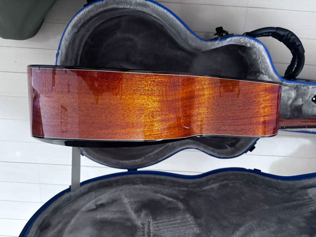 naga guitars s-gac60