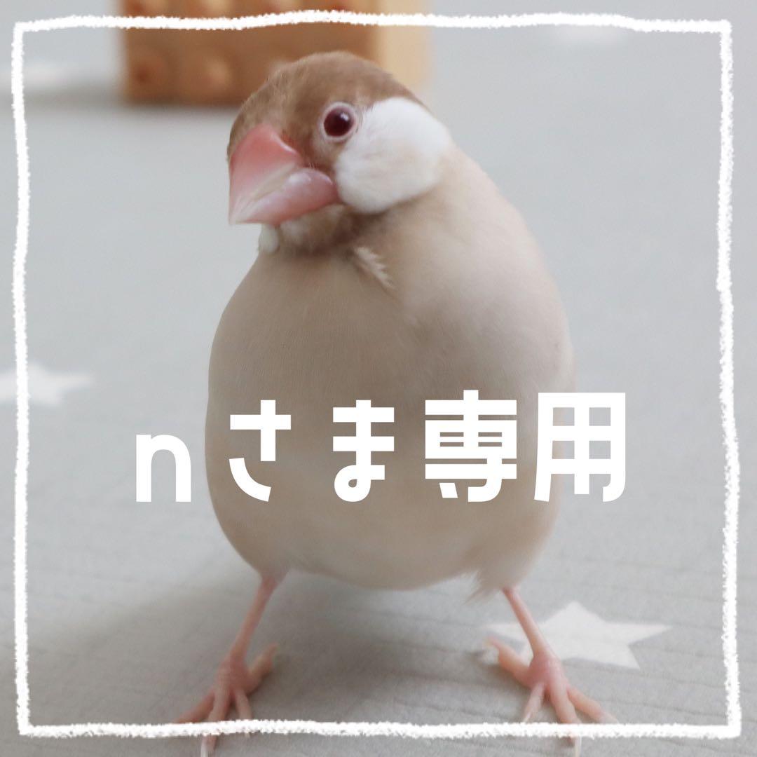 n様専用②】ことりのあそびば Bタイプ