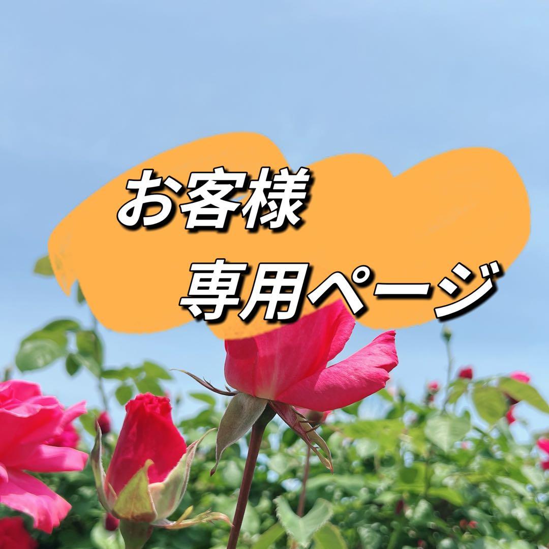 かず様リクエスト 10点まとめ商品スティック型バロックパール　ネックレス　ピアス かず様リクエスト 10点まとめ商品スティック型バロックパール