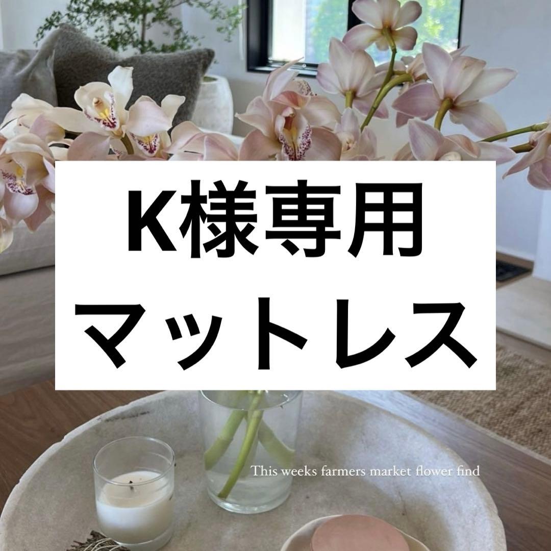 マットレス（ニトリ　Nスリープ） シングルマットレス(Nスリープ CH2-02 EM) | ニトリネット【公式