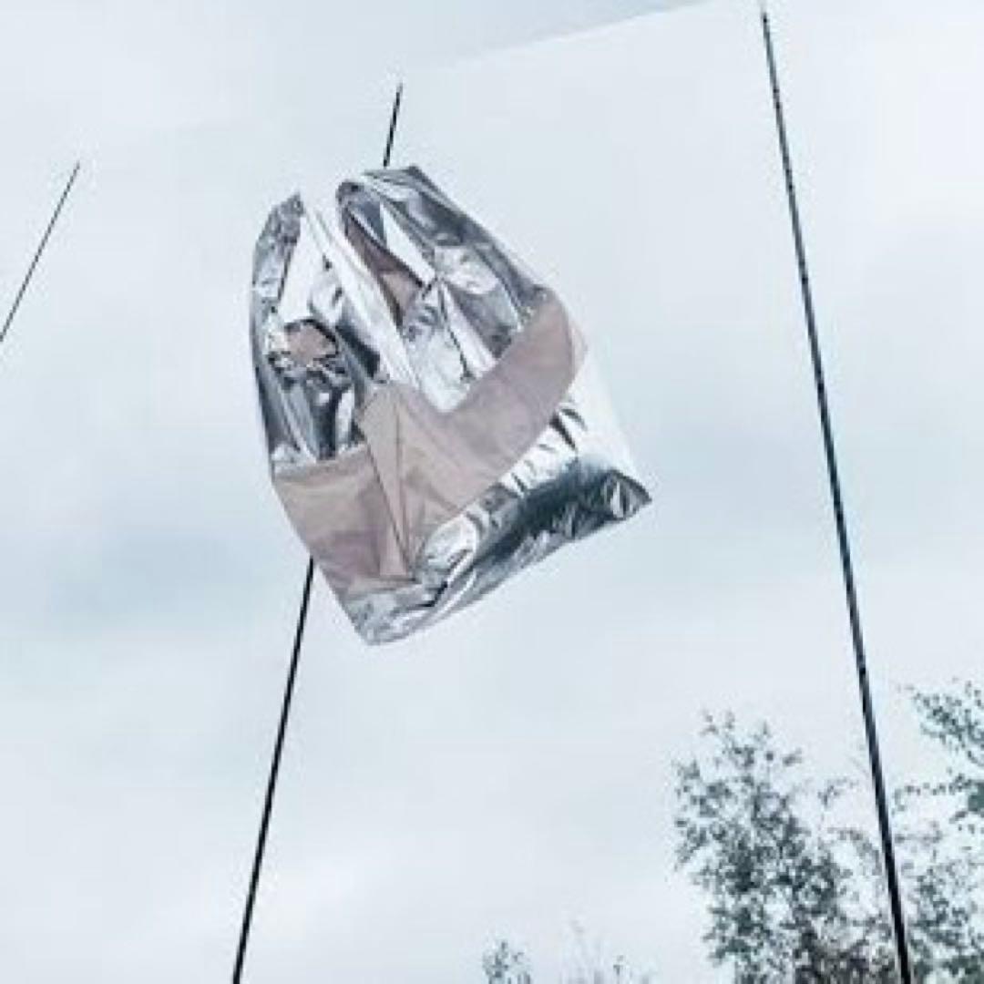 Mサイズ スーザンベル ボイマンス美術館 エコバッグM - メルカリ