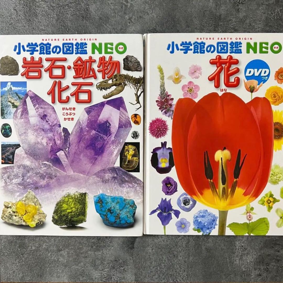 本日まで❗️】小学館 図鑑 NEO 14冊セット DVD未開封・下敷やマップ付