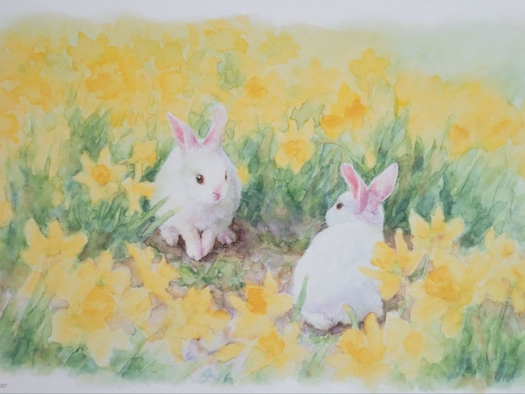 版画 額装品 土田穰 ジクレー 限定品 可愛い ウサギ 黄色い水仙 癒し系