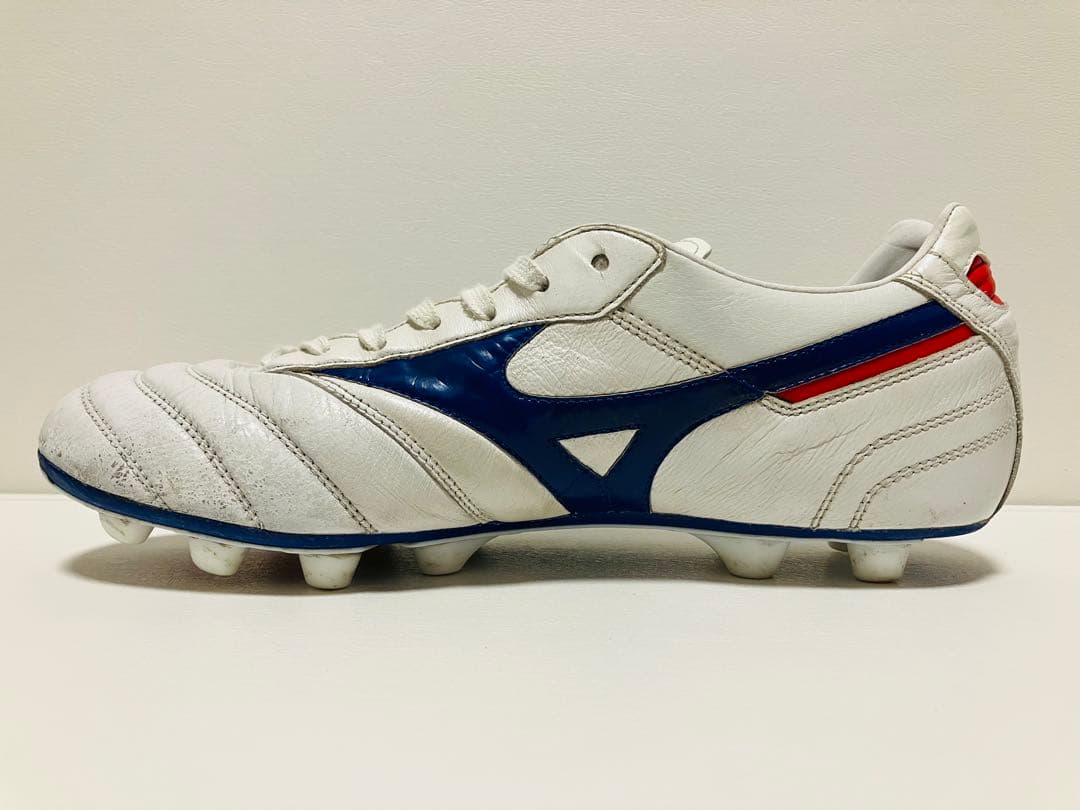 【値下げ】限定カラー　モレリアII Japan 26.5cm