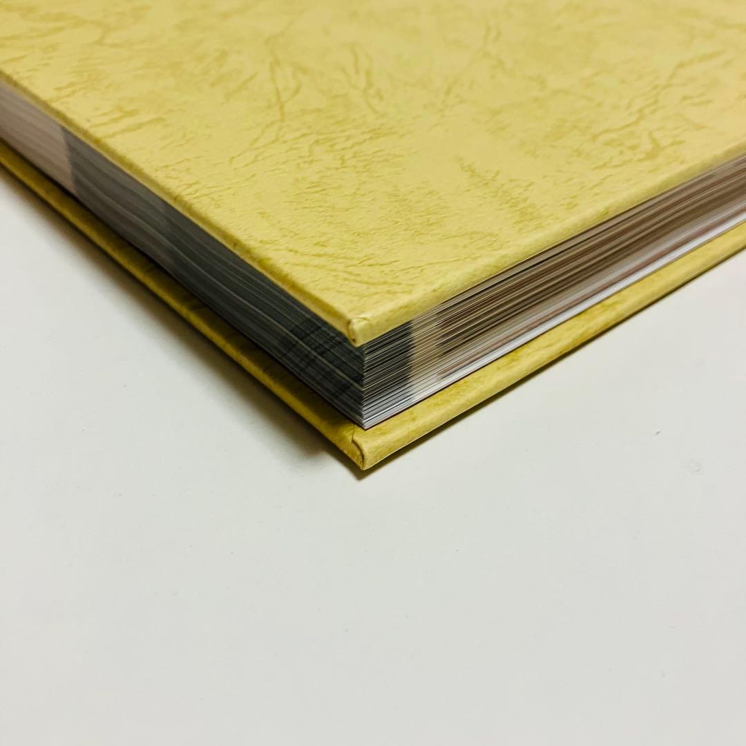 外箱・グラフィン紙カバー付き　日本女性の外性器　日本性科学大系 1 匿名配送