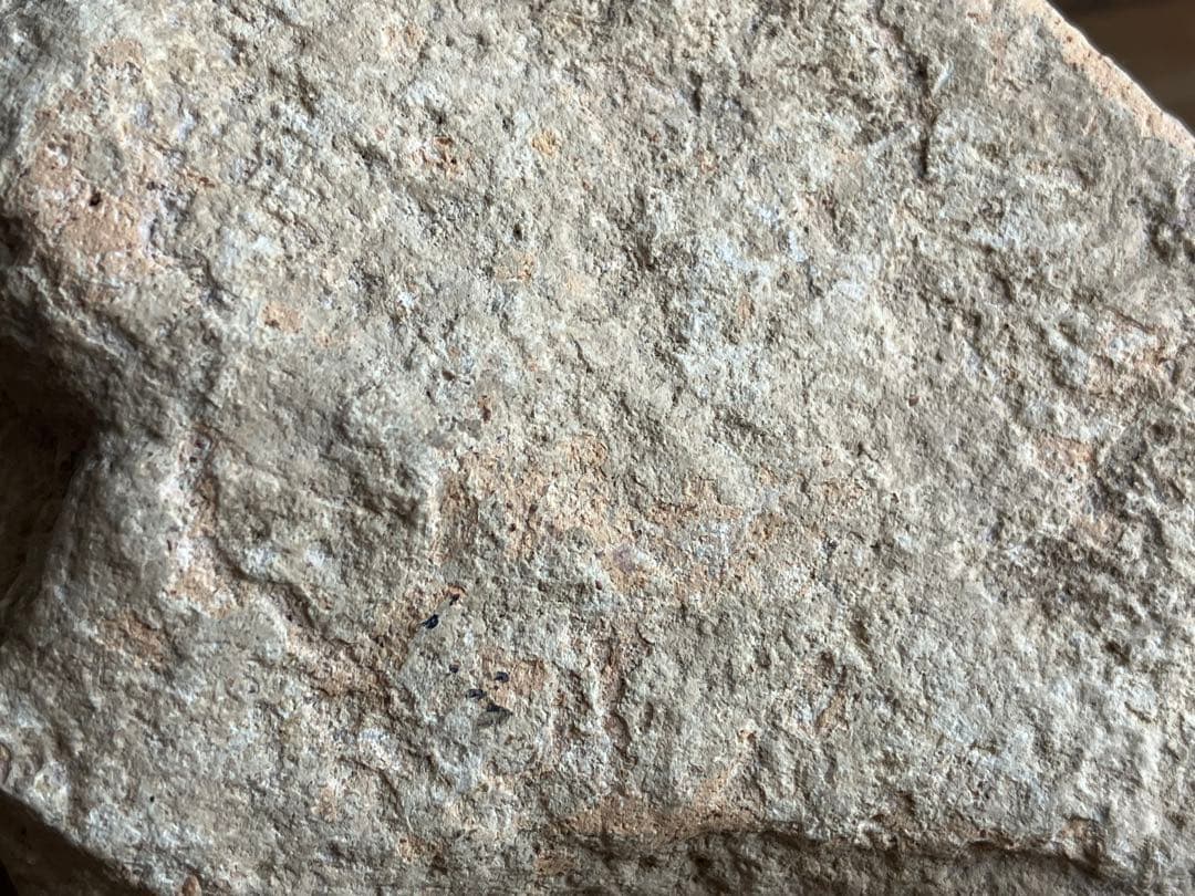 美しい、、古代中国の羊像 新石器時代後期頃 前3000～2000年】骨董