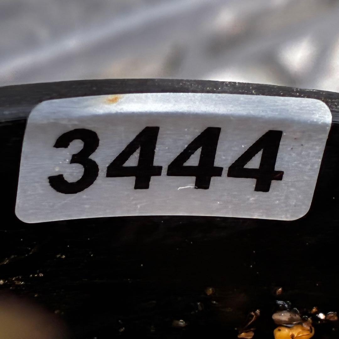 ラ*ク様 3444☘️花、タグ付☘️⭐️クロアチカスHyb⭐️超小輪〜小輪⭐️コ