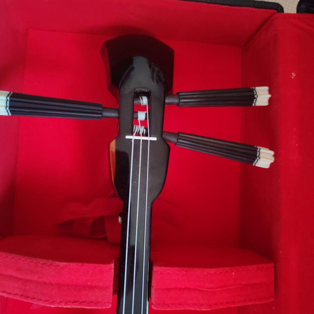 三線 本体 蛇の皮 ケース付き - メルカリ