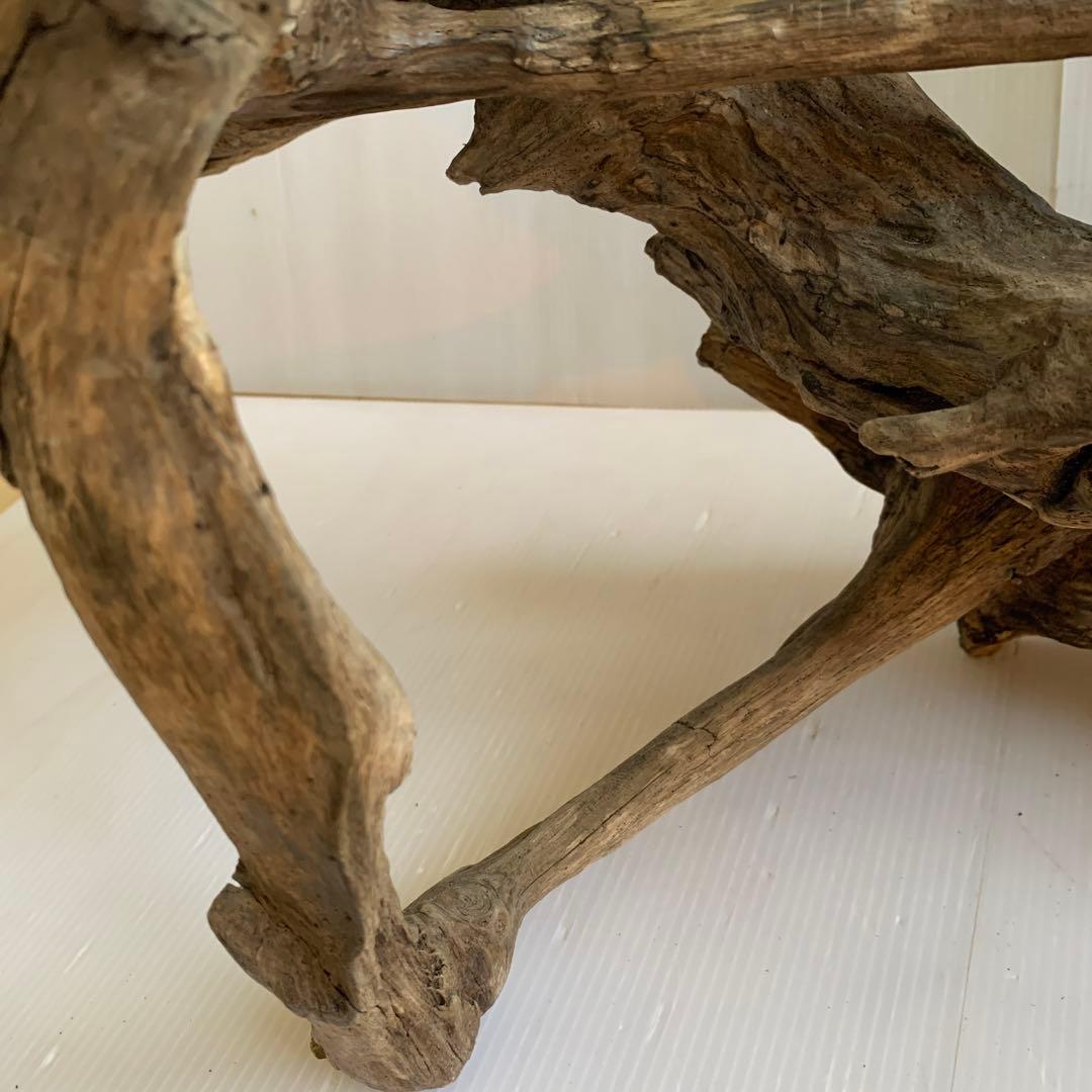 銀*時様 アク抜き済み流木　No.10 超レア型　沈水確認済